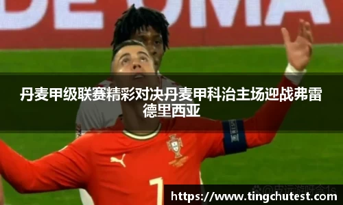 丹麦甲级联赛精彩对决丹麦甲科治主场迎战弗雷德里西亚